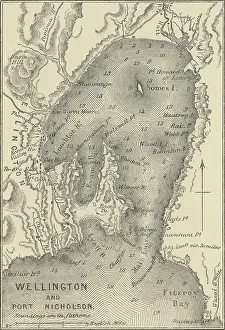 Old chromolithograph map of Wellington and Port Nicholson, New Zealand