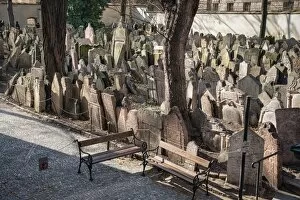 Images Dated 5th March 2012: Old Jewish cemetery