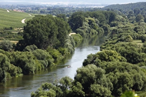 Old Main River, Muensterschwarzach in the distance, Mainschleife, loop in the Main River Old Main River, Muensterschwarzach in the distance, Mainschleife, loop in the Main River