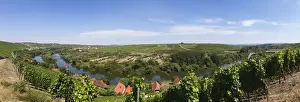 Main Prints: Old Main River, view over the towns of Koehler
