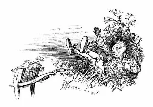 Images Dated 22nd May 2013: Old man falling into a hedge
