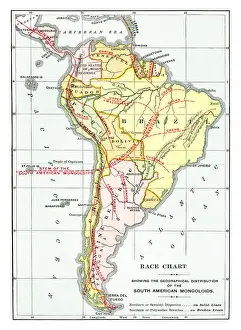 Reference Map Prints: Old map of Race Chart showing the geographical distribution of the South American