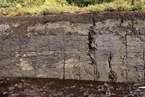 Raubling Prints: Old peat dig with a large layer of turf