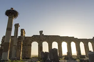 Images Dated 12th May 2007: Old Roman ruins in Volubilis at sunset