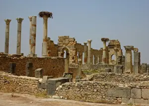Morocco Prints: Old Roman ruins in Volubulis, Morocco