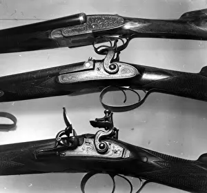 Animal Nose Prints: Old Sporting Guns