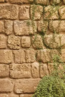Sevilla Province Prints: Old stone wall with ivy