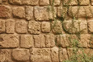 Sevilla Prints: Old stone wall with ivy