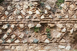 Old stone wall with plants growing on it