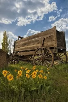 Washington Collection: Old Wagon at Dalles Mountain Ranch