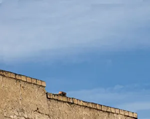Images Dated 30th August 2019: Old Wall