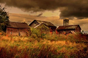 Images Dated 2009: October Collection