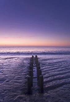 Images Dated 29th September 2011: Old wooden groyne in the Wadden Sea, North Sea, Spieka-Neufeld, Lower Saxony, Germany, Europe