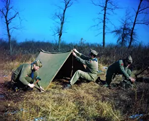 Older Scouts Putting up Tent
