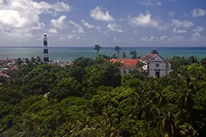 Olinda Prints: Olinda
