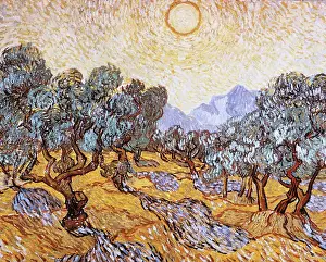 Sunshine Prints: The Olive Trees by Vincent van Gogh