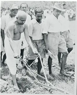 Sri Lanka Prints: Oliver Goonetilleke Ploughing a Field