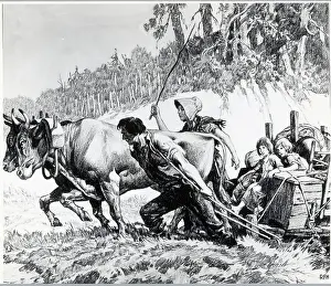 Oxen Prints: Oliver Luce Ox Sled With Wife & Children
