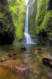 Pacific Northwest Collection: Oneonta Falls