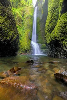 Ravine Collection: Oneonta Falls