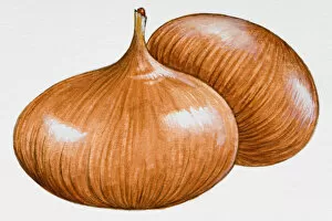 Images Dated 29th March 2007: Two onions