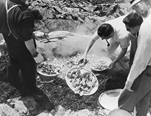 Maine Prints: Opening Clams At Maine Clambake