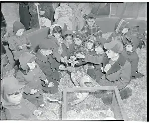 Opening Day of Children's Zoo, Bronx Park