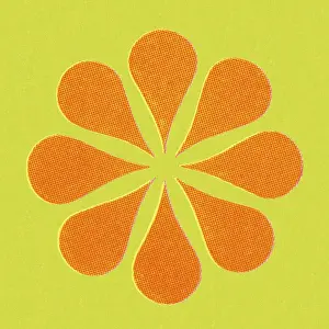Orange Asterisk