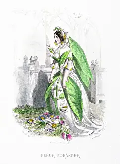 Grandville Prints: The orange blossom - Stunning Hand-colored plate from 'Les Fleurs Animees by J