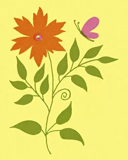 Flower Head Gallery: Orange Flower and Butterfly