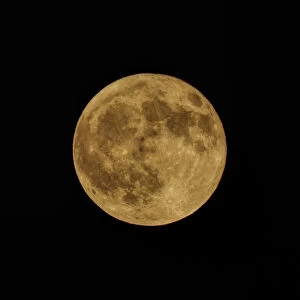Satellite Collection: Orange Harvest Moon