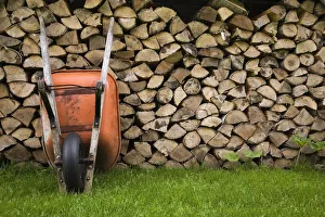 Images Dated 26th June 2012: Orange wheelbarrow propped up against stacked firewood, Quebec City, Quebec Province, Canada