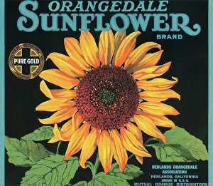 Brand Prints: Orangedale Sunflower Brand