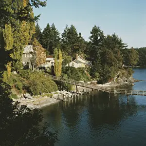 Jetty Prints: Orcas Island
