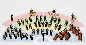 Performance Gallery: Orchestra, instrumental ensemble arranged with percussion, string, brass, and woodwind sections