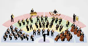 Musical Instrument Prints: Orchestra, instrumental ensemble arranged with percussion