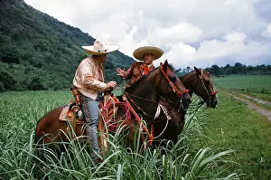 Dmitriupload1 Prints: Orizaba