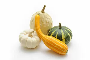 Nourishment Collection: Ornamental pumpkins (Cucurbita)