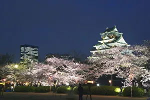 Images Dated 14th December 2009: Osaka Castle and cherry blossoms in the night, long exposure, Osaka city