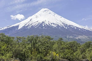 Chilean Lake District Collection: Osorno Volcano, Parc Nacional Vicente Perez Rosales, Puerto Varas, Los Lagos Region, Chile