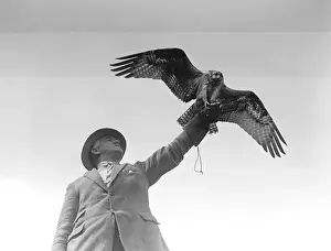 Osprey Keeper