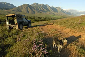 Outdoor life with dog and 4x4 in the spring, Riviersonderend mountains near Greyton, Overberg, Western Cape Province