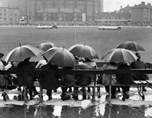 Oval Rain