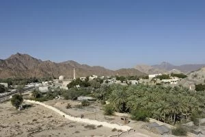 Date Palm Tree Gallery: Overblick of the oasis and Arab enclave of Hatta with a mosque and palm trees