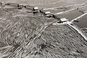 Lumber Prints: Overhead of Floating Timber