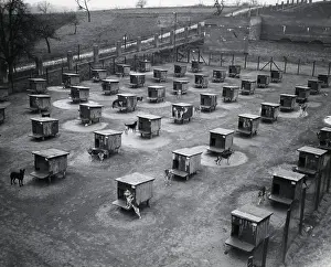 Military Camp Prints: Overview of Dog Kennels at Military Base