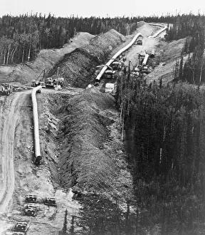 Burial Prints: Overview of Pipe for Trans-Alaska Pipeline
