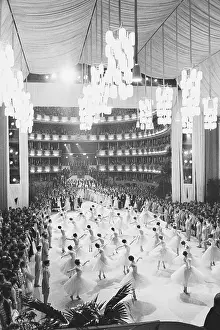 Overview of Vienna Opera Ball