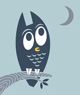 Owl and Moon