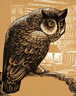 Brown Background Prints: Owl Perched on a Branch